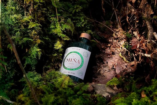 Thumbnail 3 de A Miña Orixe Ginebra Premium 700 ml 🍸