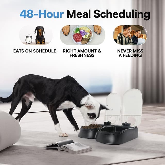 Detalle de Pawise Automatic Cat & Dog Feeder 48‑hour timer