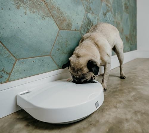 Thumbnail 6 de Comedero Automático Cat Mate C500 para Gatos y Perros 🐾