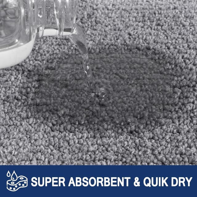 Thumbnail 3 de FCSDETAIL Dirt Trapper Door Mat 60 x 150 cm