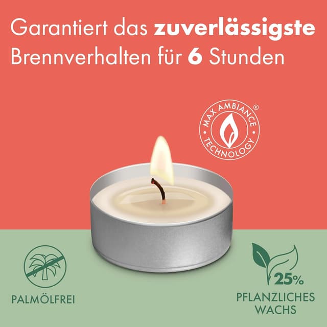 Thumbnail 1 de Bolsius - 240 Velas de té blancas 🌟 - Cera vegetal natural