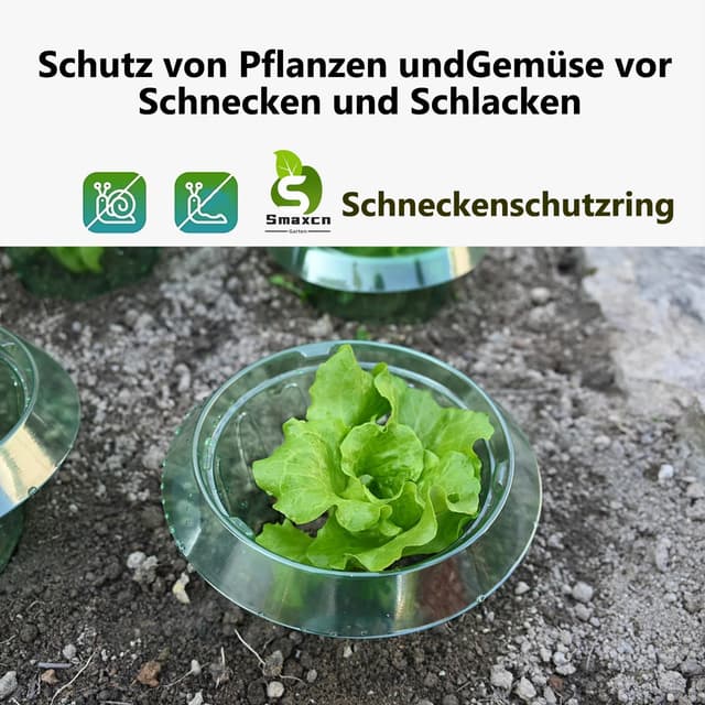 Detalle de Smaxcn Schneckenkragen (Mittelgroß), 20er-Set – Schneckenschutz für junge Pflanzen, auch als Mini-Treibhauselement
