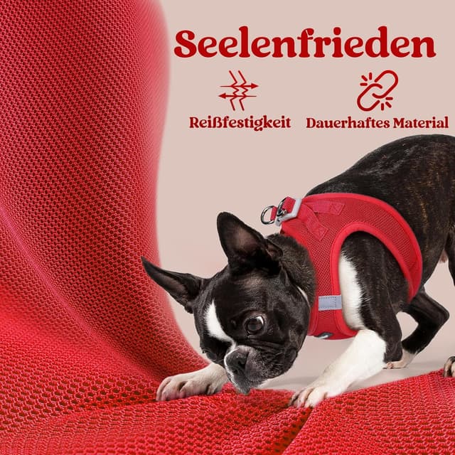 Thumbnail 6 de rabbitgoo Hundegeschirr Step-in für kleine Hunde (Größe M) – weiches Air-/Mesh, reflektierend, rot