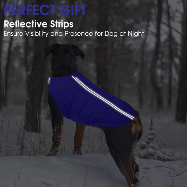 Thumbnail 2 de CITÉTOILE Hundejacke wasserdicht