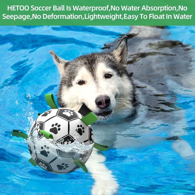 Thumbnail 3 de HETOO dog football 9 inch for tug