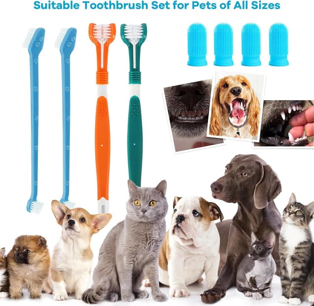 Detalle 2 de Vinuwu Dog Toothbrush Set