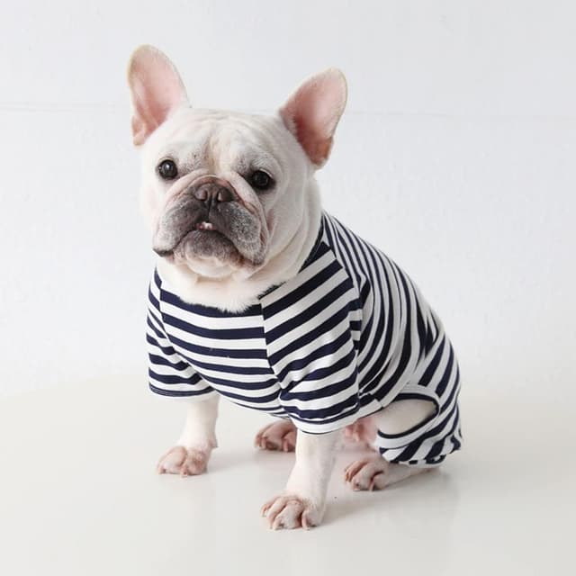 Thumbnail 6 de BT Bear Fat Dog Clothes Classic Striped Pyjamas Dog Onesie Jumpsuit (Black, Size M)
