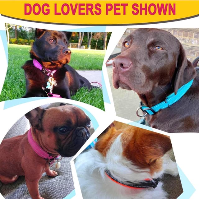 Thumbnail 6 de ATETEO Reflective Dog Collar M