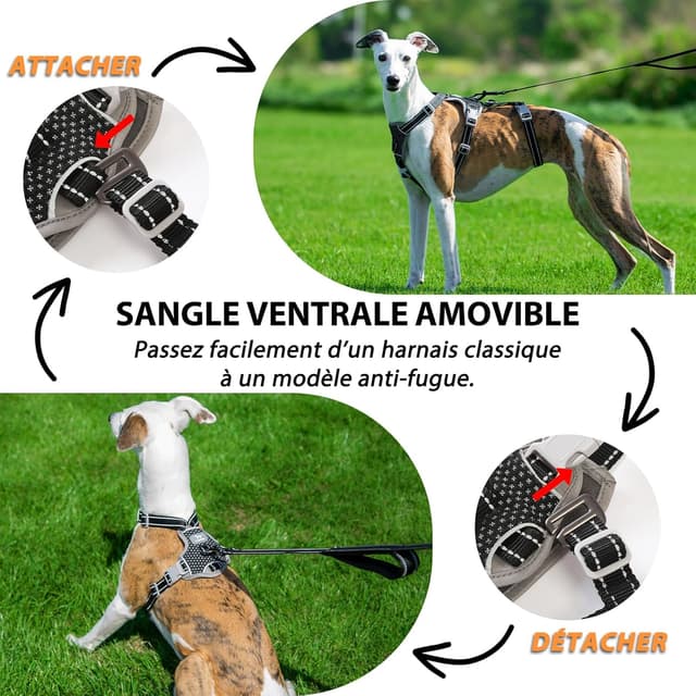 Detalle 2 de Huntboo Harnais anti-fugue réfléchissant anti-traction pour chien (noir, taille L)