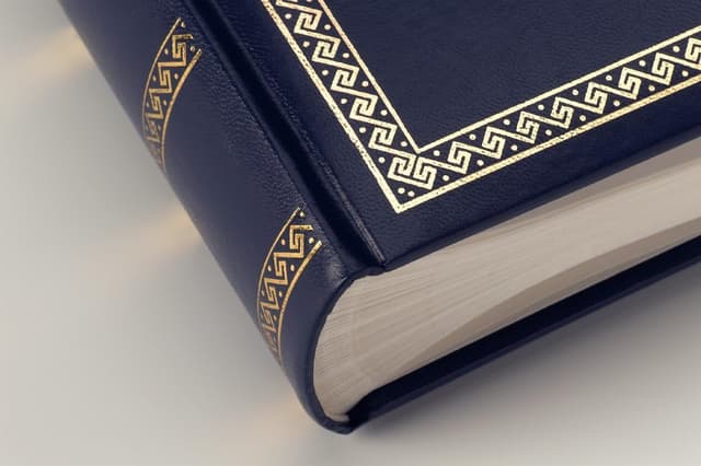 Detalle de Walther Design Album photo bleu 26 x 25 cm en simili cuir gaufré MX-103-L