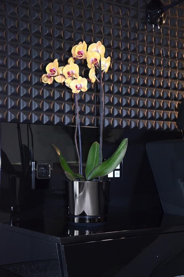 Thumbnail 6 de KERD Set Blumentöpfe 16 cm Glänzend Schwarz