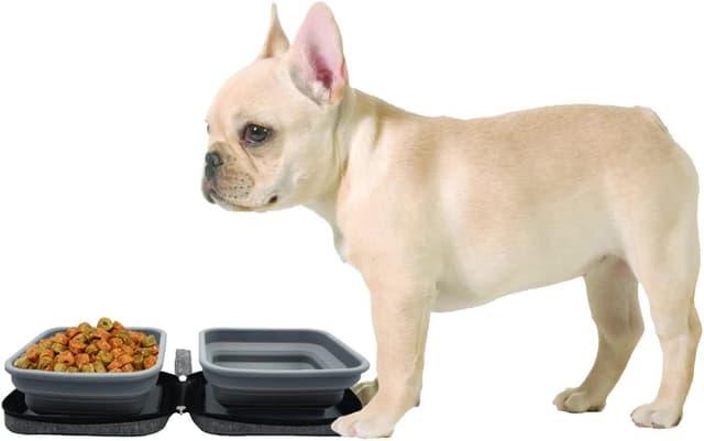 Thumbnail 4 de Portabowl : écuelles pliables 2 en 1 en silicone alimentaire avec étui de transport pour chien