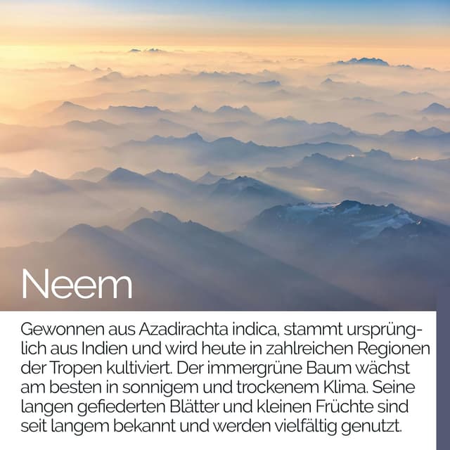 Detalle 2 de Neem Kapseln 90 TAVI 10:1 Extrakt