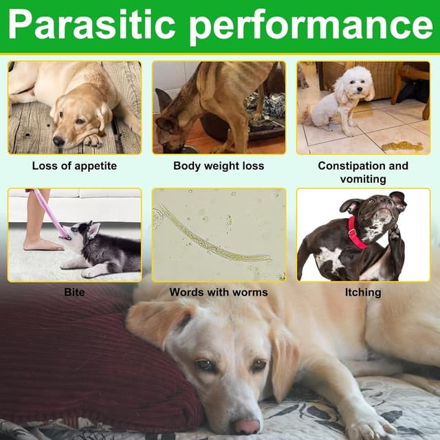 Thumbnail 4 de Natural Prevention for Dogs 150 soft chews