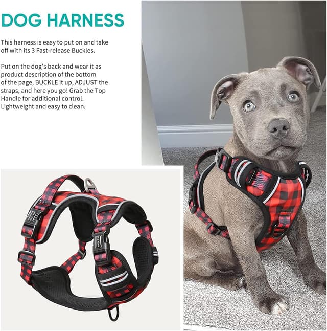 Detalle 2 de HEELE Dog Harness No-Pull (Release on Neck) with Reflective Stripes & 2 Leash Attachments – XL