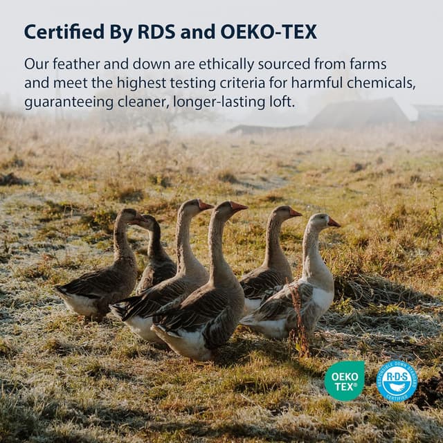 Thumbnail 4 de Pacific Coast Pillows Queen Set of 2