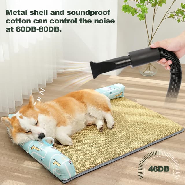 Detalle 2 de XKISS Soffiatore per Cani 3200W 4,5 CV