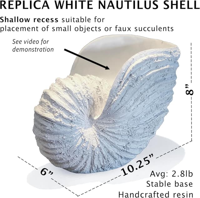 Detalle de Huey House Réplique Nautilus 26,4 x 15,2 x 20,3 cm