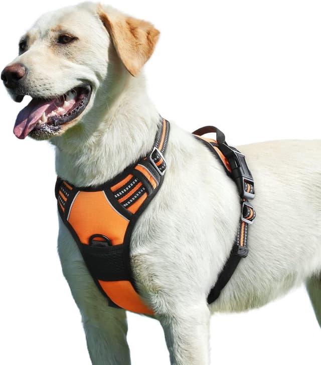Imagen de Eagloo Harnais anti-traction réglable L pour chien en OfertitasTOP