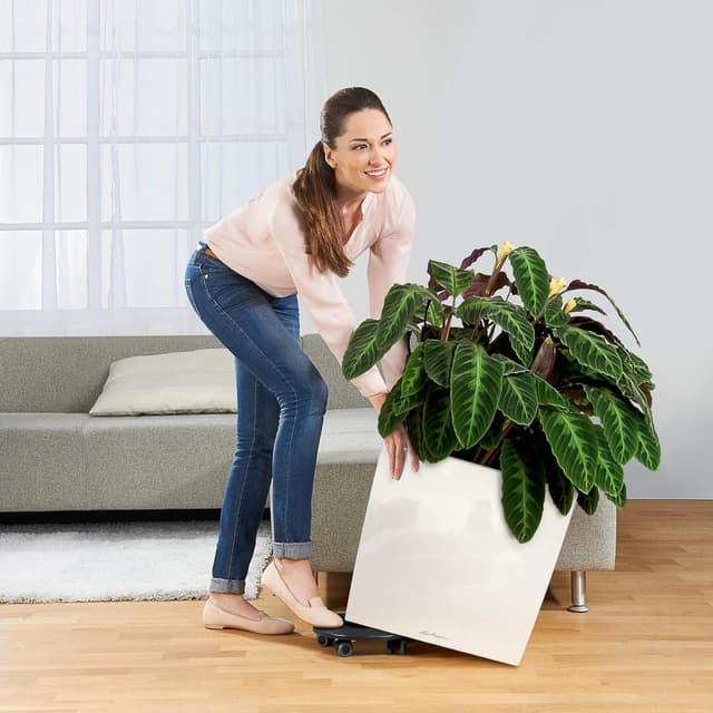 Thumbnail 2 de LECHUZA Cube Premium 50 Silber metallic