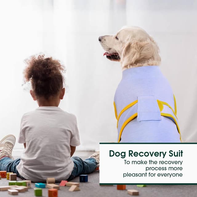 Detalle de Kuoser Recovery Suit for Dogs & Cats After Surgery — E-Collar/Cone Alternative Dog Onesie for Abdominal Wounds