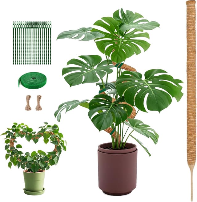 Imagen de SZMDLX Moss Pole 160 cm Bendable Coir Plant Support en OfertitasTOP