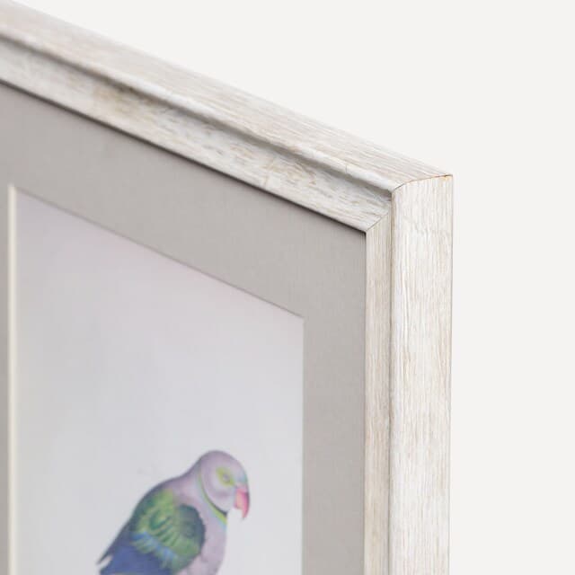 Thumbnail 5 de El Corte Inglés Set de 4 cuadros Pájaros 📷