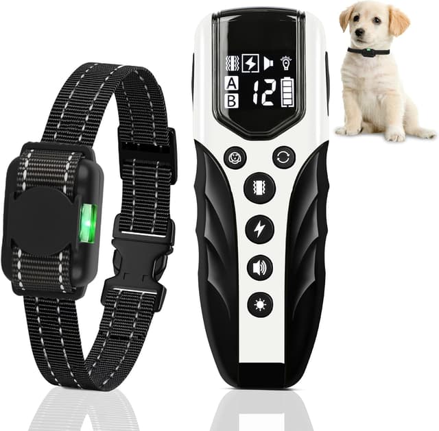 Detalle de Collier de dressage chien avec télécommande