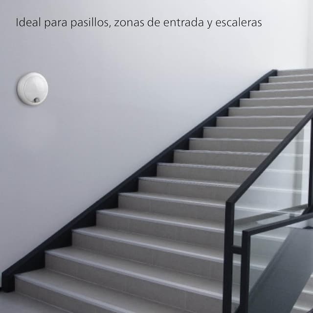 Detalle de Philips Aplique LED ProjectLine Ovalado 15W Luz Natural