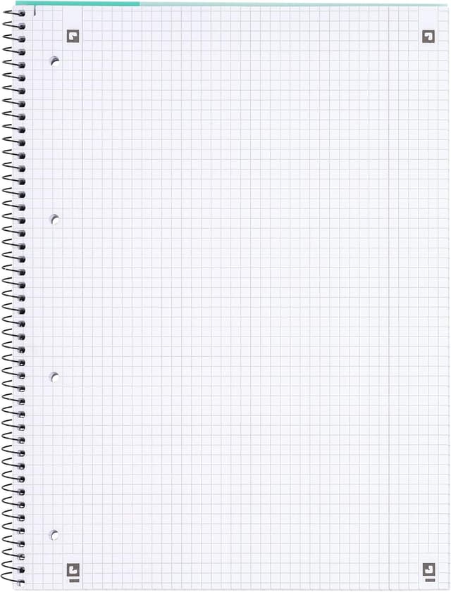 Detalle de Oxford Cahier A4 quadrillé 80 feuilles perforées Menthe (80 feuilles, 160 pages)