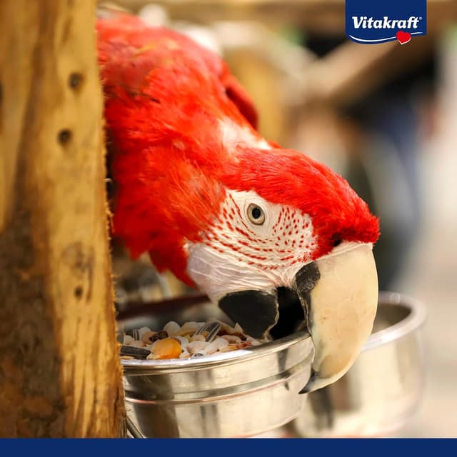 Thumbnail 6 de Vitakraft Menu 10 kg nourriture perroquets 🐦