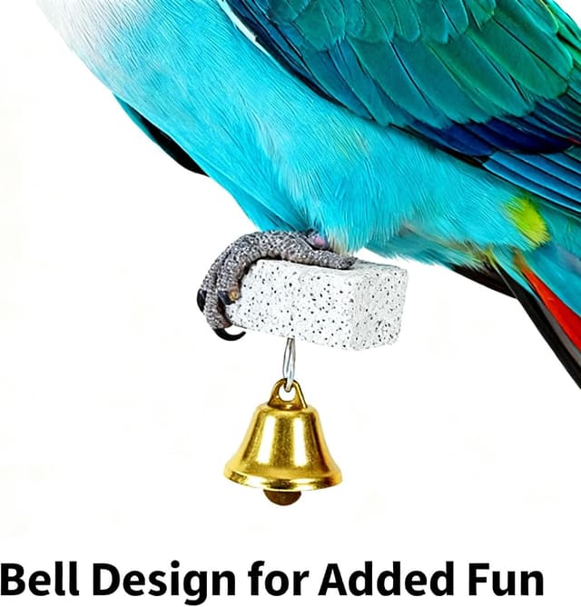 Thumbnail 3 de Zhouocea 2 Pcs Cuttlefish Bone Bird Toy