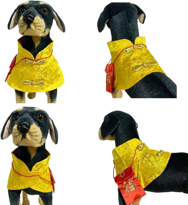 Detalle de BT Bear Dog Chinese New Year Costume (L, Gold) – Chinese Knot Buttons Tang Suit with Neck Strap Scarf