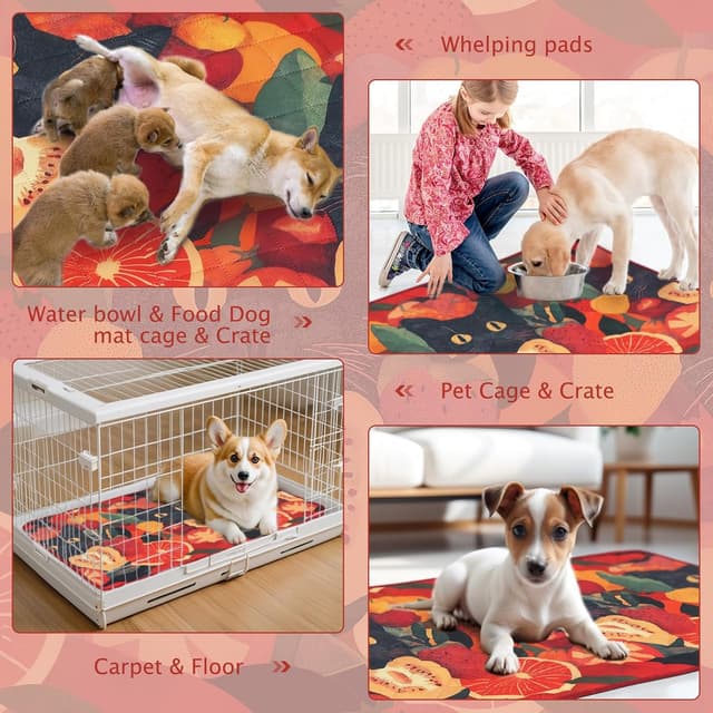 Thumbnail 3 de BVAGSS XH081 tappetini assorbenti per cani 60×60 cm