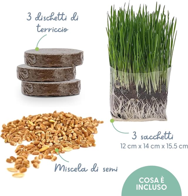 Detalle 2 de Erba per gatti da interno, kit da 3