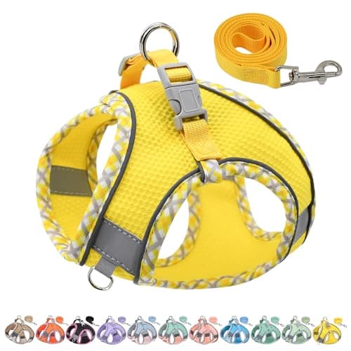 Imagen de AIITLE Harnais et laisse pour chien, anti-traction, jaune XS ⚙ en OfertitasTOP