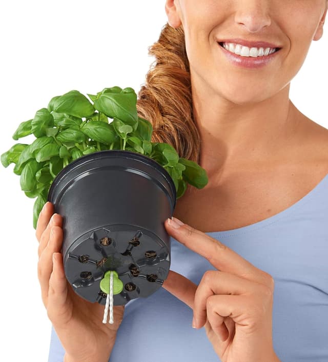 Thumbnail 5 de LECHUZA Cube Color 16 schiefergrau