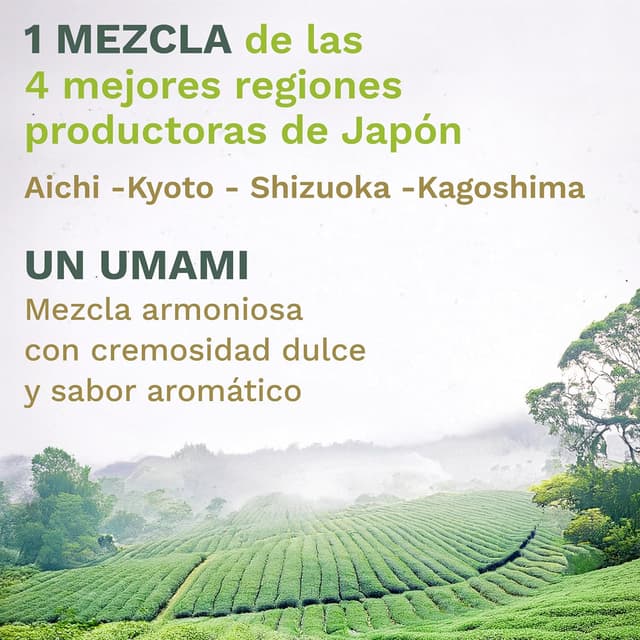 Thumbnail 2 de Creano Té Matcha Bio Ceremonial 30 g