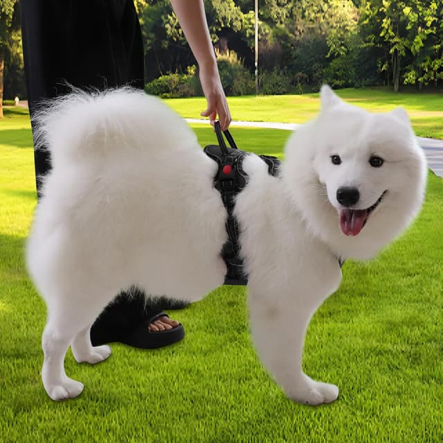 Thumbnail 6 de Gimilife Dog Harness Reflective No Pull