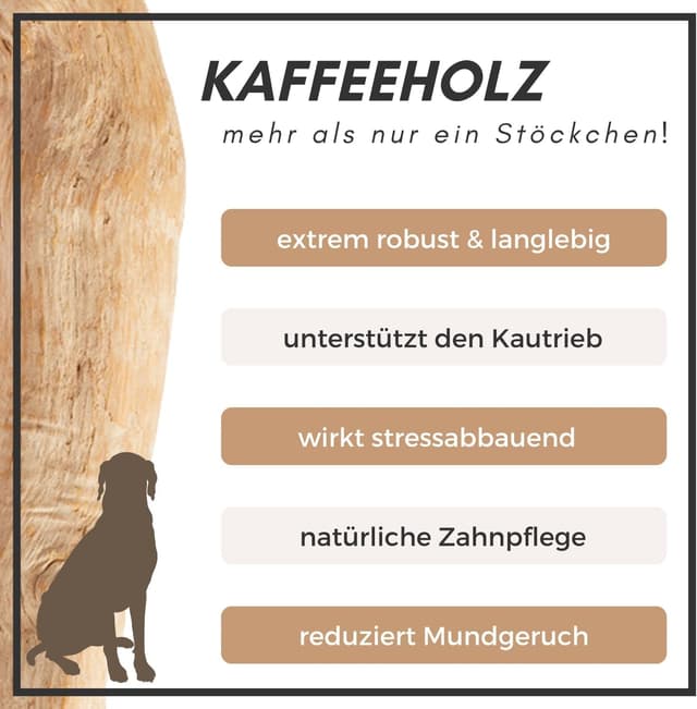 Detalle 2 de Supravit natürlicher Kauknochen aus Kaffeeholz für Hunde (Kaffeebaum-Holz) – M