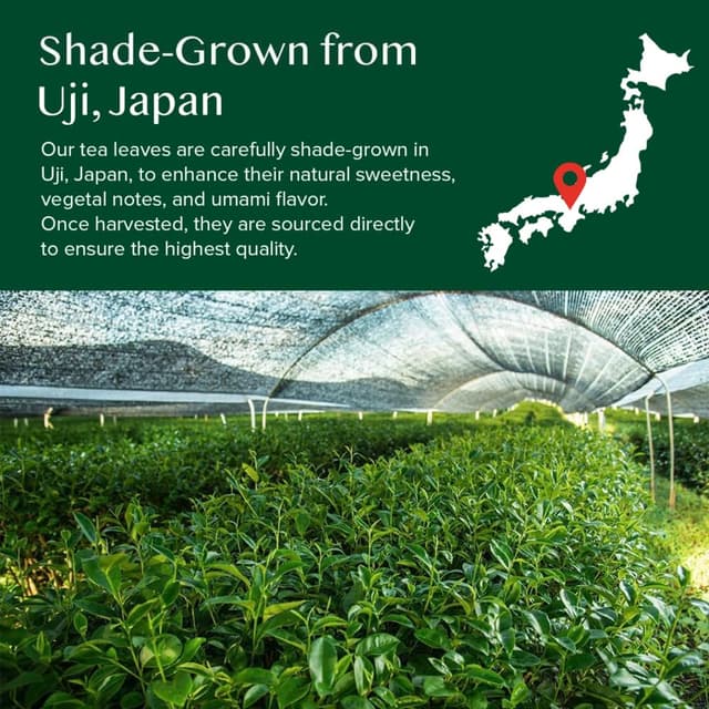 Detalle de VAHDAM Vanille Matcha Grüner Tee Pulver (100 g) – 100% japanischer Matcha, für Latte heiß oder kalt