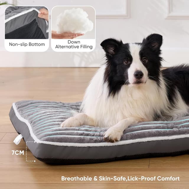 Detalle de Tapis chien VoltaEcho 112 x 80 cm