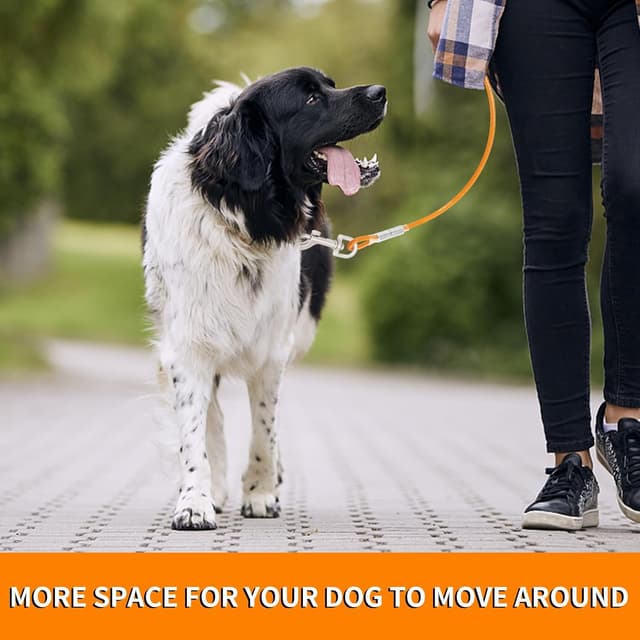 Detalle de Tie Out Leinen für Hunde (3/6/9/15 m) – 3 m Hofleine mit 360°-Drehclip für mittlere bis große Hunde (Orange)