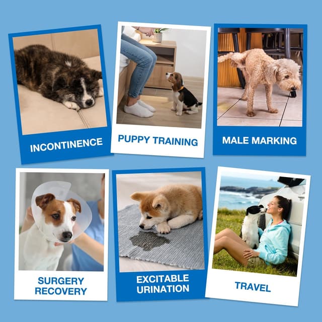 Thumbnail 6 de Dono male dog nappies 40 pcs with wetness indicator