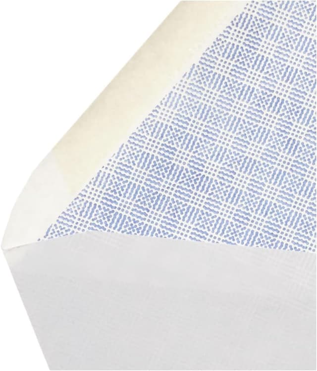 Detalle de Amazon Basics #10 Security Envelopes 4-1/8 x 9-1/2, 500