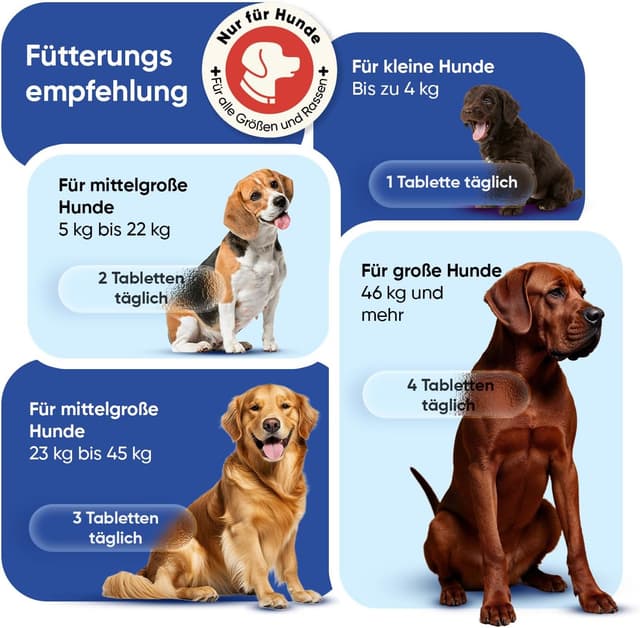 Thumbnail 6 de Animigo Multivitamine für Hunde 365 Tabletten