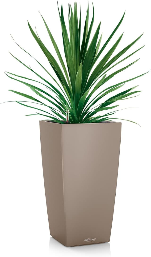 Thumbnail 1 de Lechuza CUBICO Color 30 Komplettset sandbraun