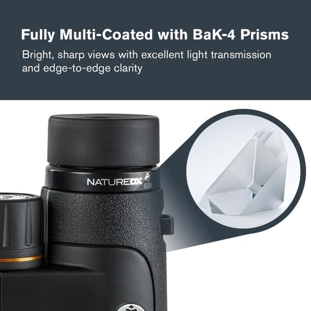 Thumbnail 3 de Celestron Nature DX ED 8x42 Binoculars