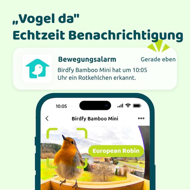 Detalle de NETVUE Bambus Mini Vogelfutterhaus mit Kamera 1,9 L