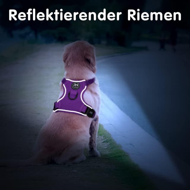 Detalle 2 de PoyPet Reflektierendes weiches, atmungsaktives Hundegeschirr aus Mesh (Violett, XS)